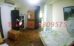 The Tanamera (D16), Condominium #96348202